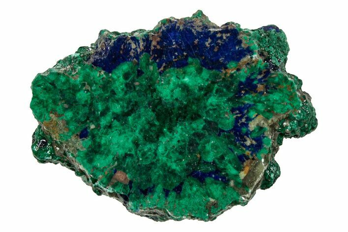 Vivid Green, Cut/Polished Malachite & Azurite Nodule - Siberia #335237